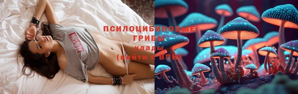 СК Куровское