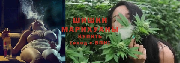 гидропоника Рославль