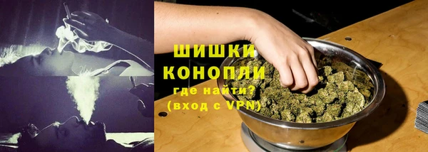 гидропоника Рославль