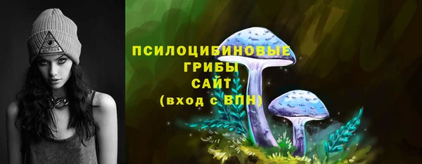 СК Ростов