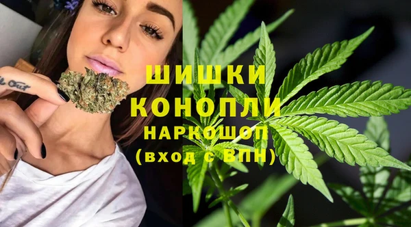 гидропоника Рославль