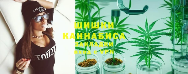 гидропоника Рославль