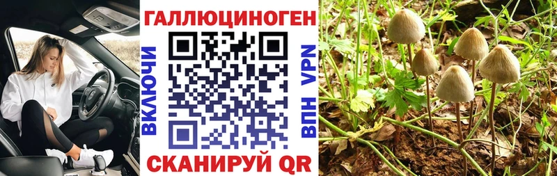 Галлюциногенные грибы Psilocybine cubensis  Солнечногорск 