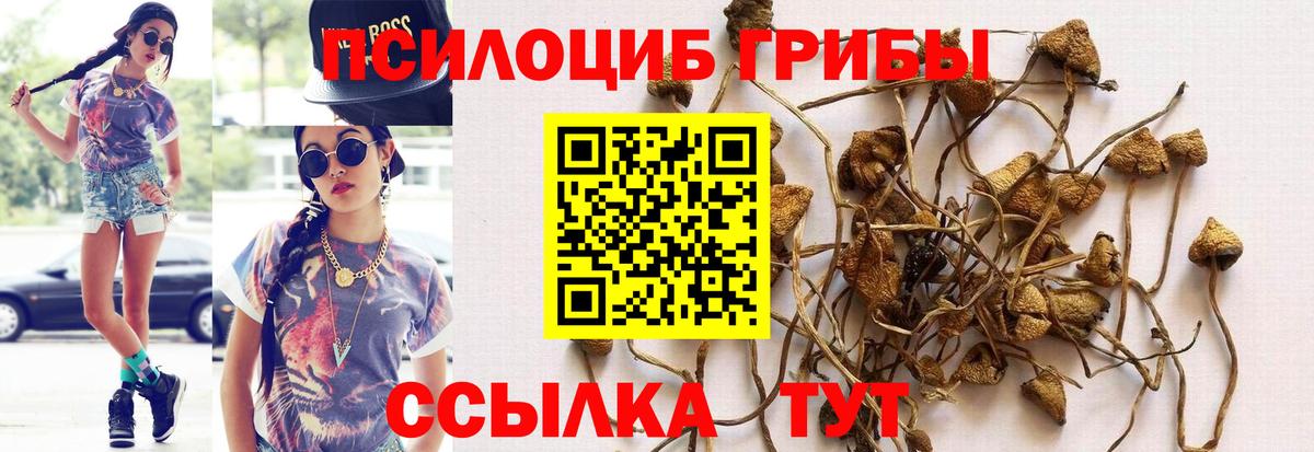 Псилоцибиновые грибы ЛСД Солнечногорск