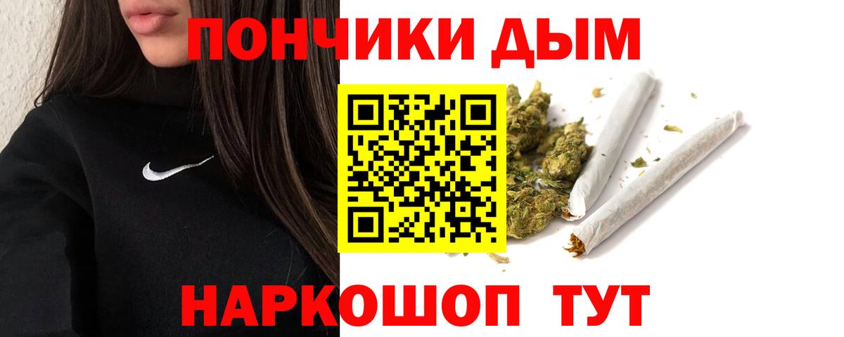 Шишки марихуана семена  Солнечногорск  Шишки марихуана план  Марихуана сатива 