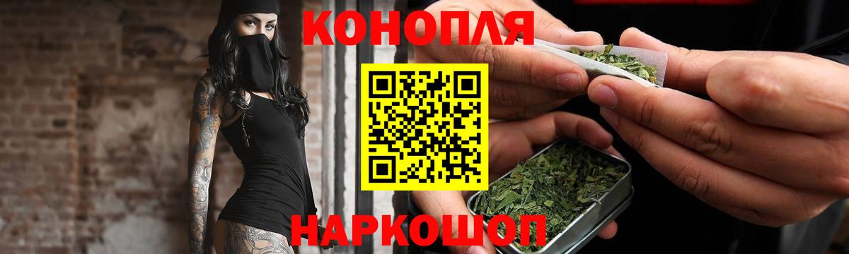 Бошки Шишки ГИДРОПОН  Каннабис планчик  Солнечногорск  Марихуана сатива  Вход с VPN 